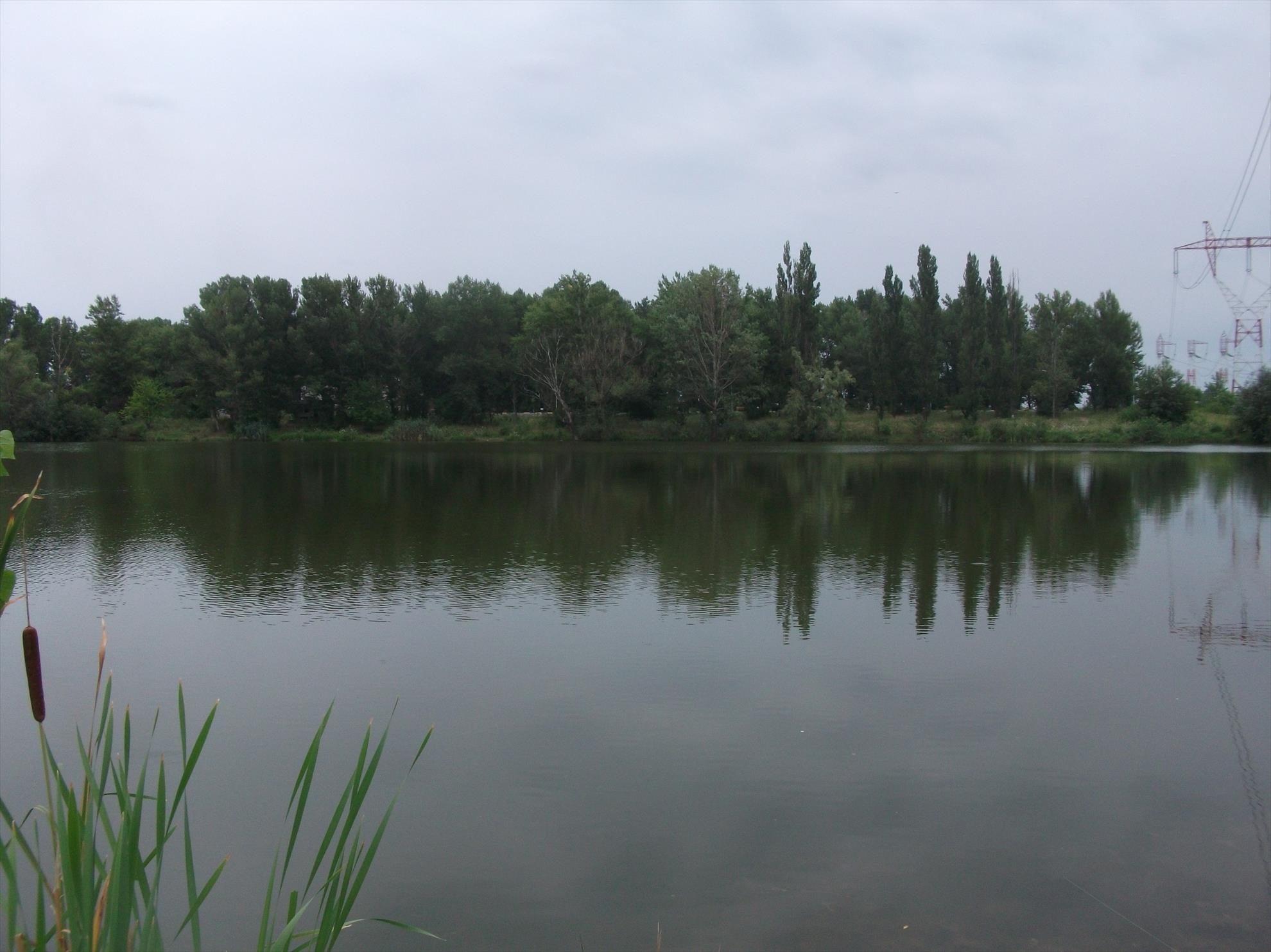 multe poze... - dscf3532.jpg